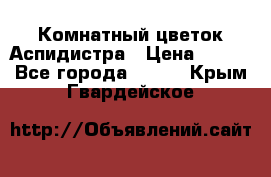 Комнатный цветок Аспидистра › Цена ­ 150 - Все города  »    . Крым,Гвардейское